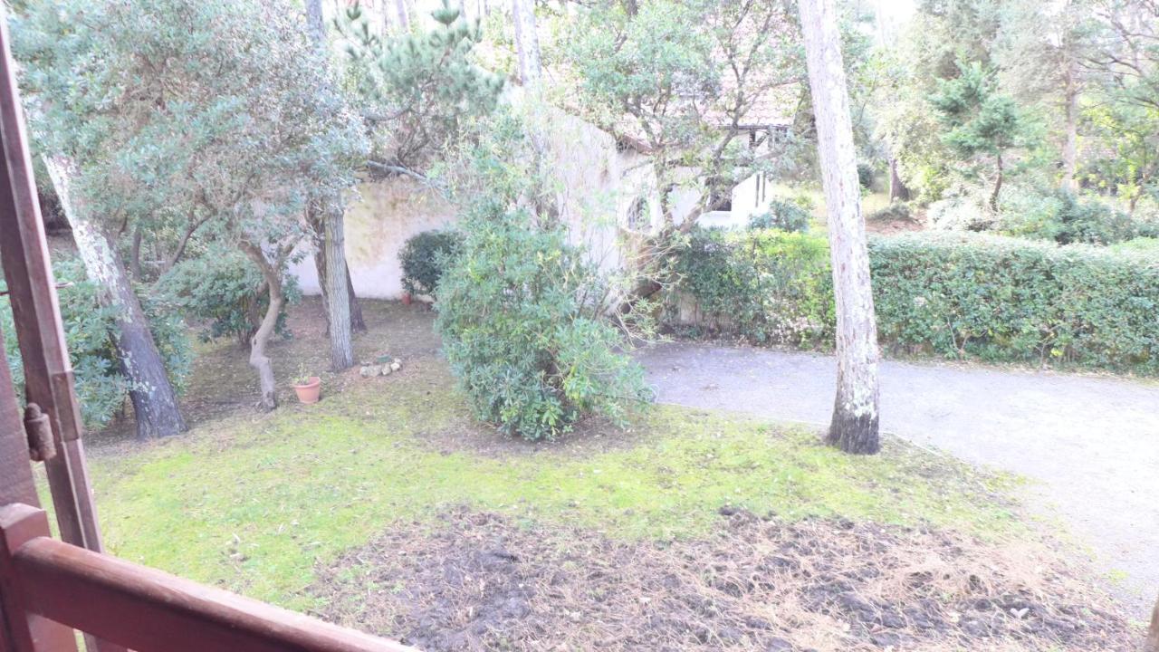 Ref 141 ,Seignosse Les Bourdaines , Villa Bouharde Classee 3 Etoiles, A 600 M Plage, 10 Personnes Buitenkant foto